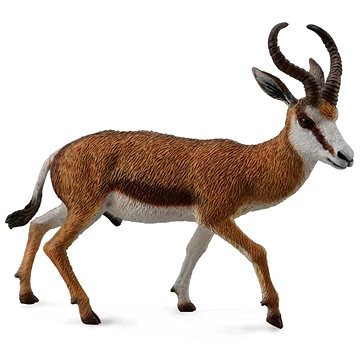 

Collecta antilopa skákavá