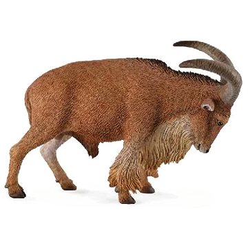

Collecta Paovce hřivnatá