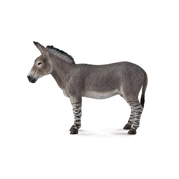 

Collecta osel Africký divoký