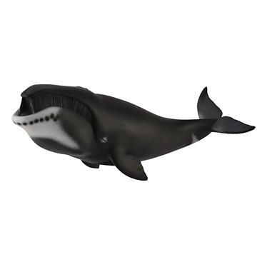 

Collecta velryba grónská