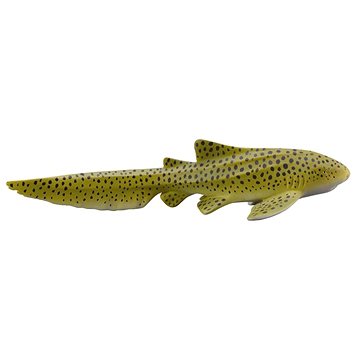 

Collecta žralok zebrovaný