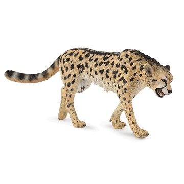 

Collecta gepard královský