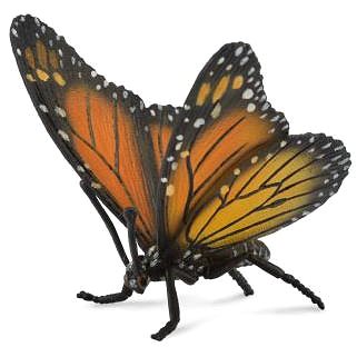 

Collecta motýl Monarcha stěhovavý