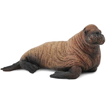 

Collecta mrož mládě