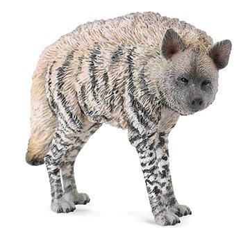 

Collecta hyena žíhaná