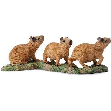 

Collecta kapybara mláďata