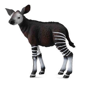 

Collecta okapi mládě