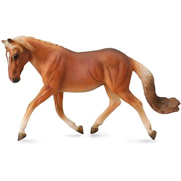 

Collecta kůň Haflinger klisna