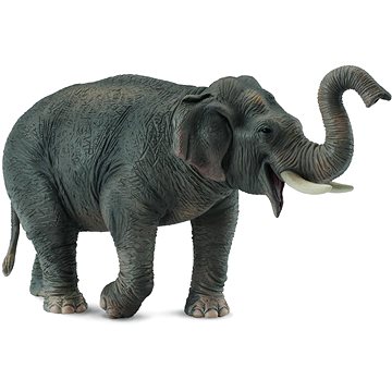

Collecta Slon indický