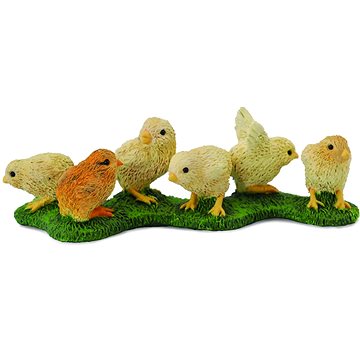 

Collecta kuřátka na trávě