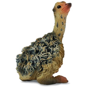 

Collecta pštros mládě