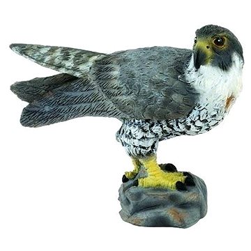 

Collecta sokol stěhovavý