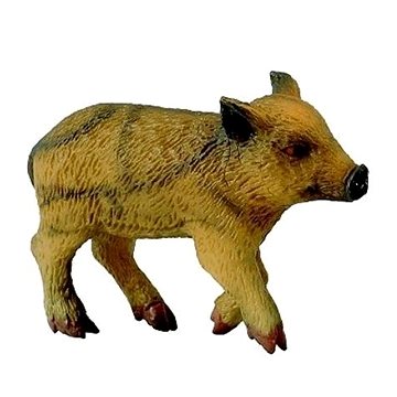 

Collecta prase divoké mládě běžící