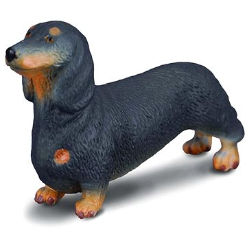 

Collecta pes Jezevčík