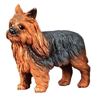 

Collecta pes Yorkshirský teriér