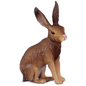 

Collecta zajíc