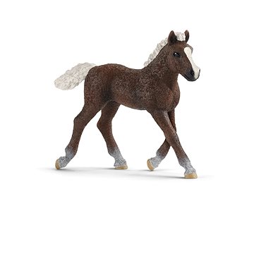 

Schleich Hříbě Schwarzwaldské 13899