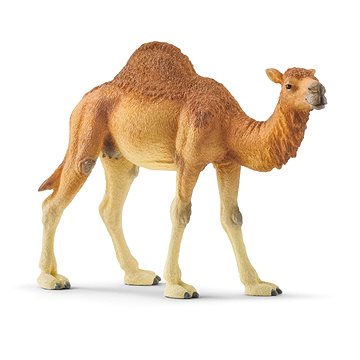 

Schleich Dromedár 14832