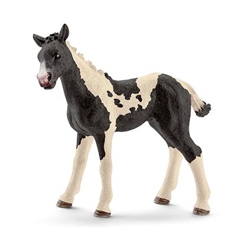 

Schleich Hříbě Pinto 13803