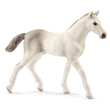 

Schleich Holštýnské hříbě 13860