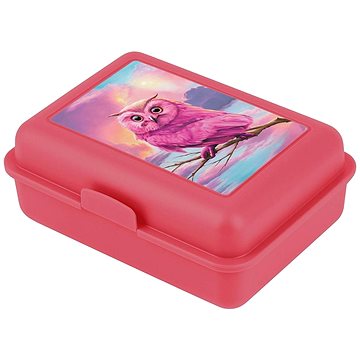 BAAGL Box na svačinu Sova