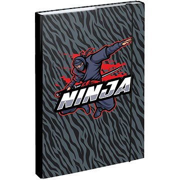

BAAGL Desky na školní sešity A4 Ninja