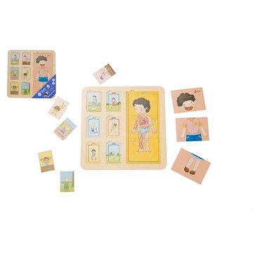 

Teddies Puzzle deskové dřevěné lidské tělo/sport