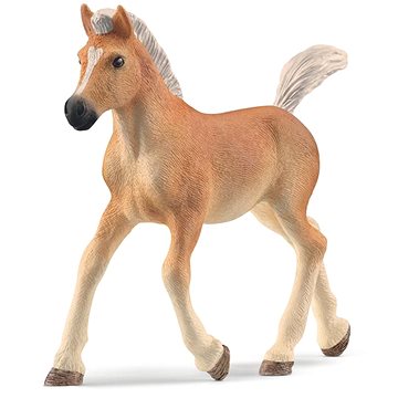 

Schleich Haflingerské hříbě 13951