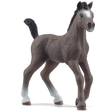 

Schleich Hříbě plemene Selle Français 13957