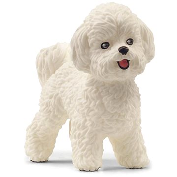 

Schleich Bišon frisé 13963