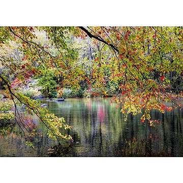 

ALIPSON Puzzle Větve na okraji řeky 1000 dílků