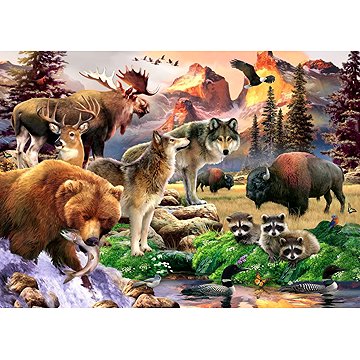 

ALIPSON Puzzle Příroda 500 dílků