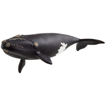 

Schleich Velryba severoatlantická 14878