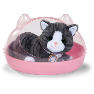 

BABY born Kočka Cookie s přepravkou