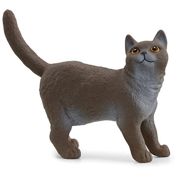 

Schleich Britská krátkosrstá kočka 13973