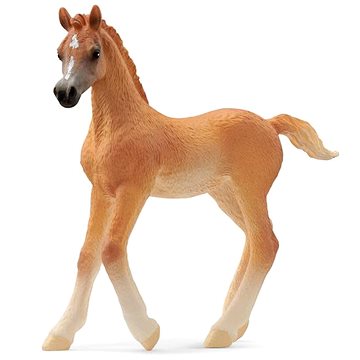 

Schleich Arabské hříbě 13984