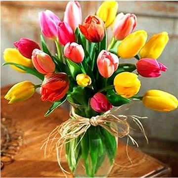 

Gaira Tulipány D0787