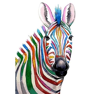 

Gaira Zebra M2457