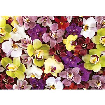 

EDUCA Puzzle Koláž z orchidejí 1000 dílků