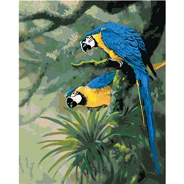 Zuty - Malování Podle Čísel – Pár Papoušků Ara Ararauna Na Větvi (Northern Promotions), 40X50 Cm, Pl - Malování podle čísel