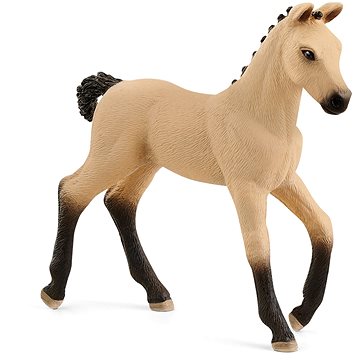 

Schleich Zvířátko - hříbě hannoverské 13929