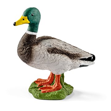 

Schleich Zvířátko - kačer 13824
