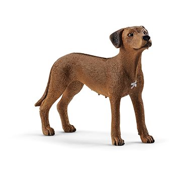 

Schleich Zvířátko - pes ridgback rhodéský 13895