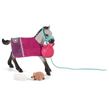 

Schleich Zábava pro zvířata 42534