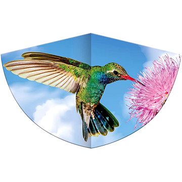 

Günther - Kolibri 75x48 cm