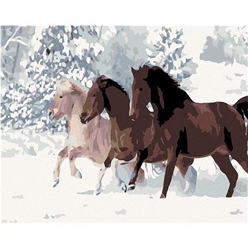 Malování podle čísel - Koně ve sněhu, 50x40 cm, bez rámu a bez vypnutí plátna - Malování podle čísel