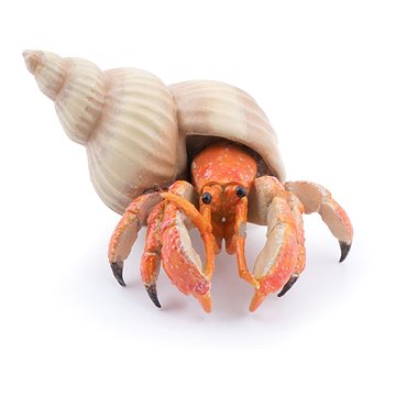 

PAPO Krab poustevnický