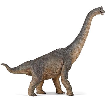

PAPO Brachiosaurus