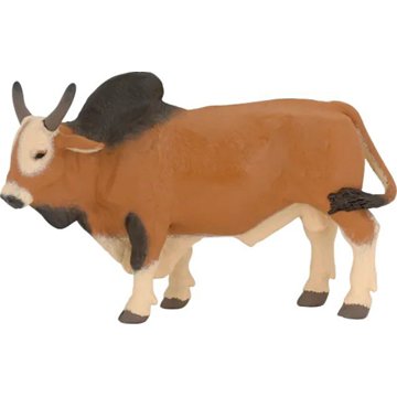 

PAPO Zebu