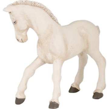

PAPO Hříbě Cremello